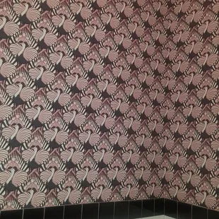 Bathroom wallpaper..fun.