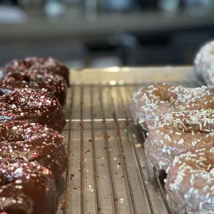 Lot of variety to choose from!