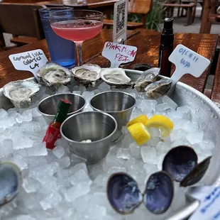 shellfish, oysters, mussels, food, oysters and mussels