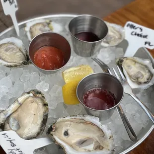 Raw Oysters