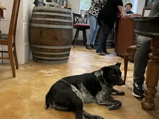 Graveyard Vineyards