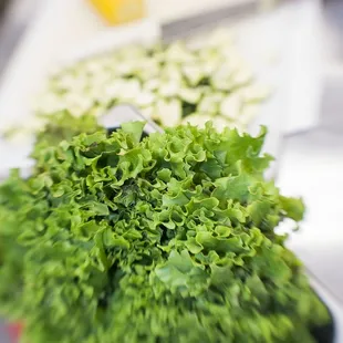 Want to eat lighter...order Lettuce as an extra base instead of noodles or rice!