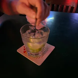 Grey goose on the rocks