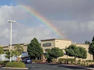 The Shamrock Irish Pub and Eatery