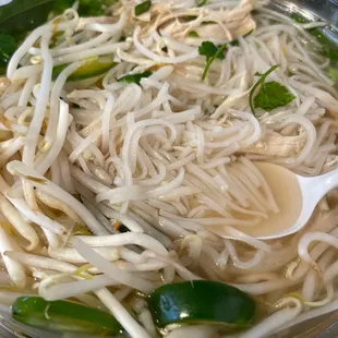 Chicken Pho