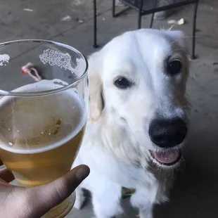 Dog friendly! Indoors and outdoors!