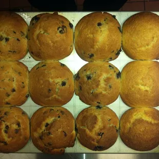 Fresh baked muffins! Got milk?