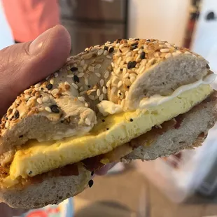 a person holding a sandwich