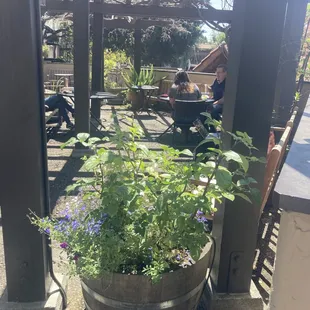 Outdoor seating with plants, &amp; some sun!