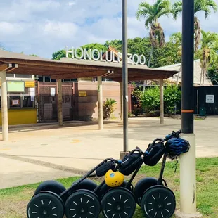 Honolulu Zoo meeting point