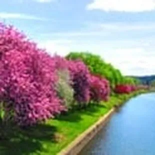 Along the Susquehanna