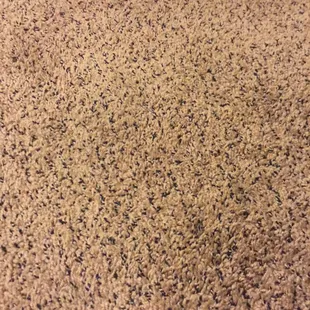 Newer carpeting and linoleum flooring.