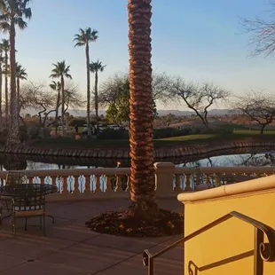 a view of a lake and palm trees