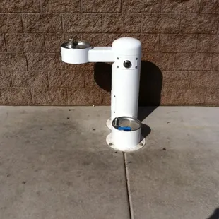 Doggie drinking fountain