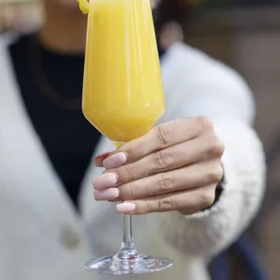 Mimosa on the patio