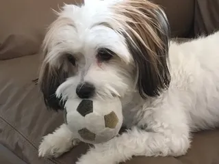 New Frontier Animal Medical Center