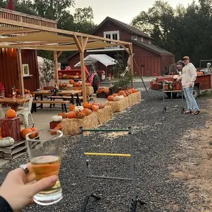 Playing ladder toss outside the tasting room!