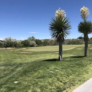 a view of the course