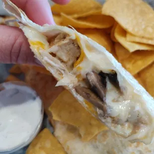 Special- chicken &amp; mushroom quesadilla