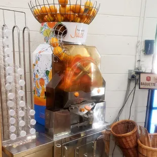 DIY fresh squeezed orange juice