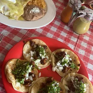 Pastor mini tacos and chicken enchiladas