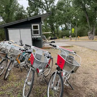 Free bike rentals!