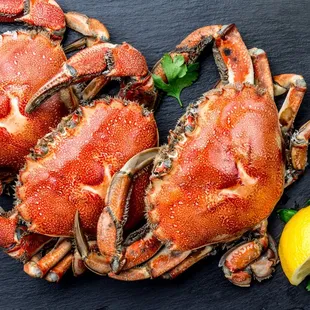 Dungeness Crab