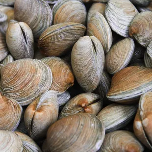 Clams