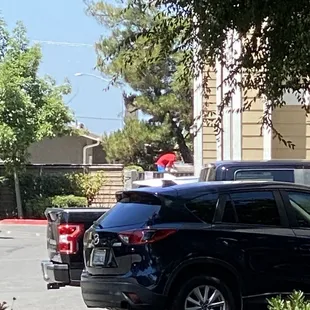 Drug transients of all shapes and sizes constantly enter the apartment complex high and hostile. Nothing done by management .