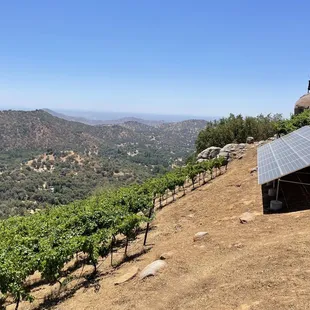 solar panels on the roof
