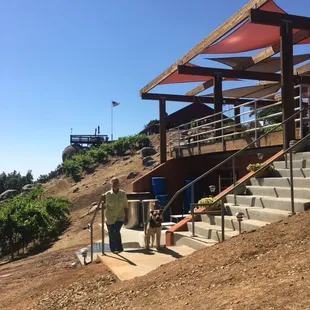 Grapes with altitude!