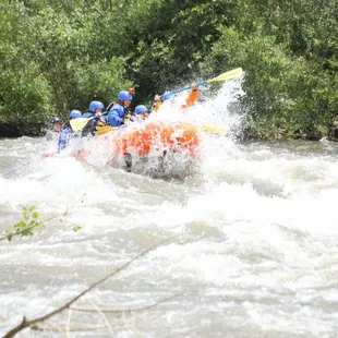 We had the best time!