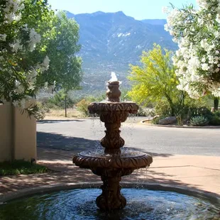 Fountain and view of the Santa Catalina Mountains at Sierra Tucson's entrance