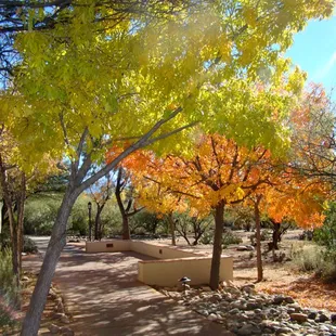 Fall at Sierra Tucson