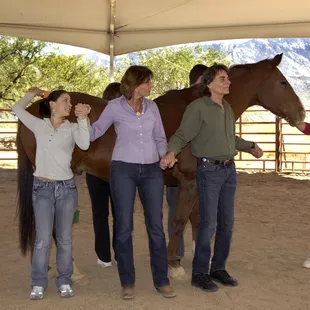 Equine-Assisted Therapy at Sierra Tucson