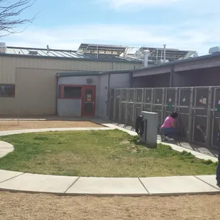 Love the beautiful layout of the kennels