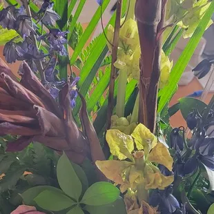 Very sad looking after only 4 days.