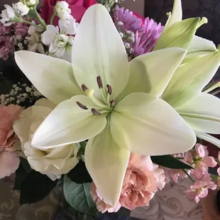 Fresh and lovely lily