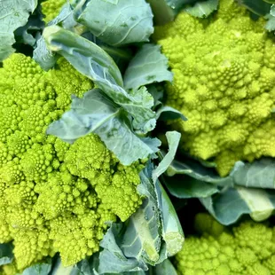 Romanesco
