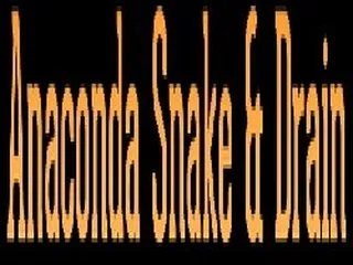 Anaconda Snake & Drain