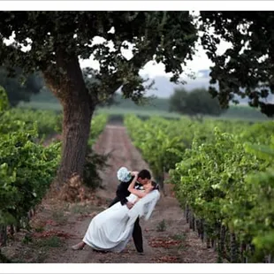 Wedding in the Sierra "Wine Country."