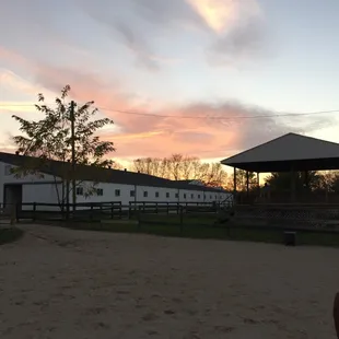 Outdoor Arena 2