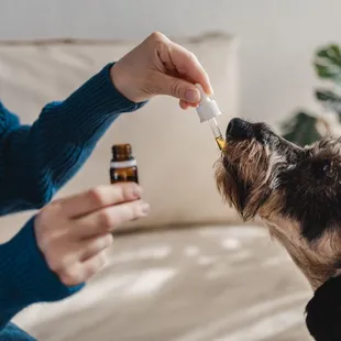 We offer CBD dog treats specially crafted for your beloved furry companion.