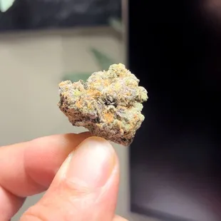 Premium Cannabis
