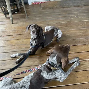 Front porch, brews with the boys.