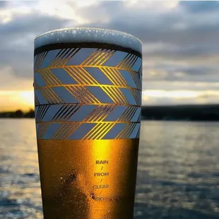 Free Sig Heineken glass