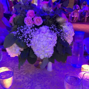 oysters and mussels, interior