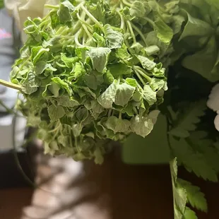 In just 1 day it looks like this