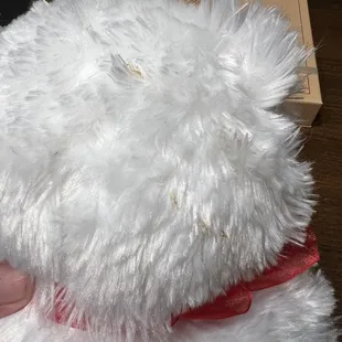 Dirty bear no discount