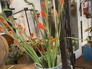 The Turquoise Tree Flower Shop